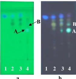 Gambar 4.2.   Reaksi warna dengan larutan amilum : 1. Sampel no 1, 2. Sampel no 2,  3