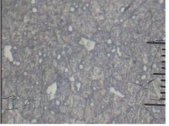 Gambar 9. Photo Struktur Mikro Baja HSS media pendingin air (pembesaran 500 X) 