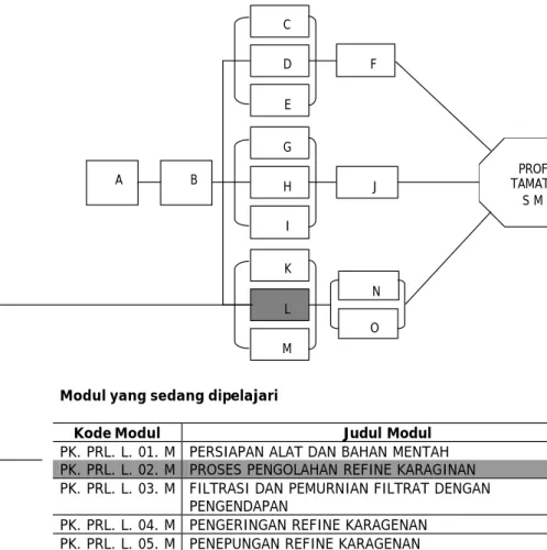 DIAGRAM PENCAPAIAN KOMPETENSI 