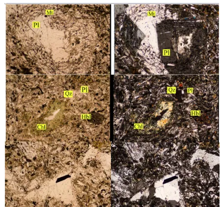 Gambar 6. (a-b) sampel Bt04, PPL (a) XPL (b),kristal hornblenda memperlihatkan tekstur sekeletal dengan reaksi rim opak setempat dan diinklusi oleh mineral opak, ukuran kristal 0,5 mm, juga plagioklas dengan tekstur glomeroporfiritik dengan oscillatory zon