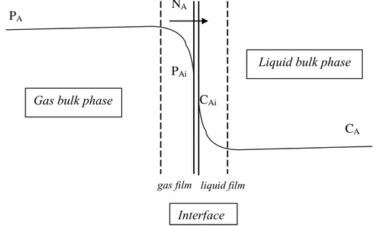 Gambar 2.9. Skema perubahan konsentrasi pada bidang antar muka fasa gas-cair 