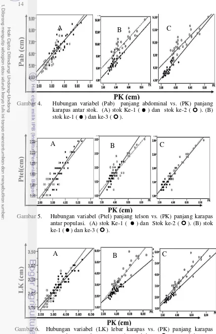 Gambar 4. Hubungan variabel (Pab)  panjang abdominal vs. (PK) panjang 