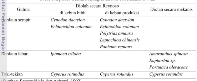 Tabel 1. Spesies Gulma Penting di Kebun Tebu Lahan Sawah 