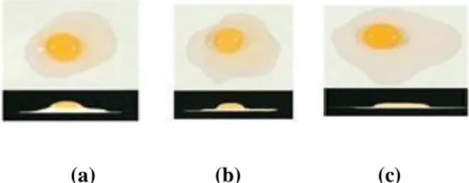 Gambar 2.3 : (a) Telur Grade “AA”, (b) Telur Grade”A”, (c) Telur Grade “B” 