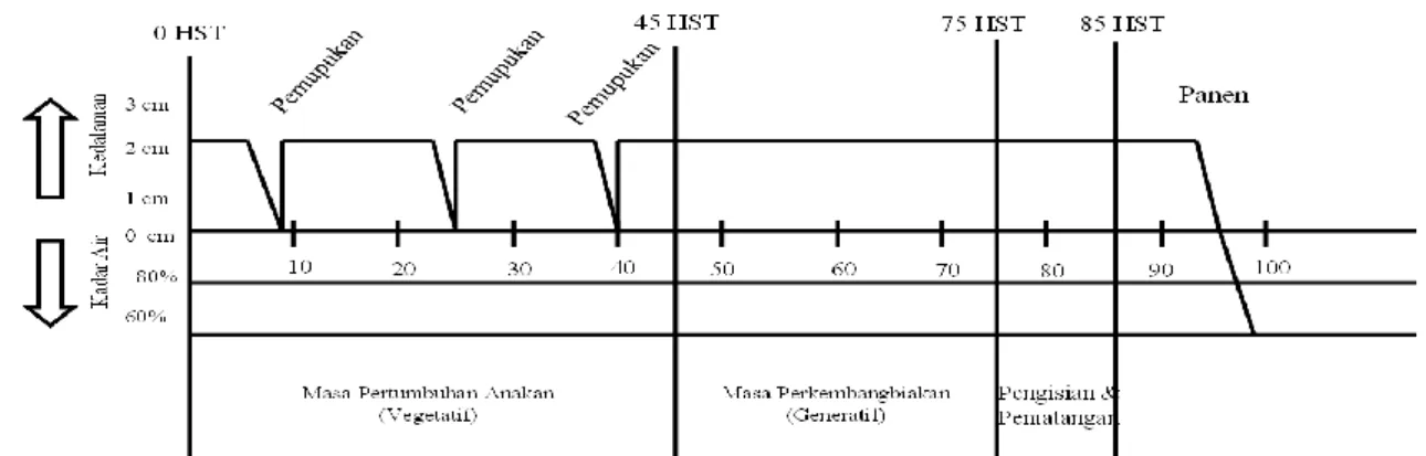 Gambar 1 Sistem Pemberian Air Konvensional (Ibrahim, (2008 ) 