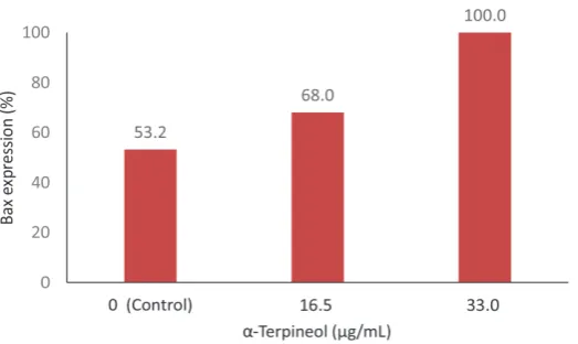 FIGURE 5.  The effect of 24 hours α-terpineol incubation on Bax  expression of MCF-7 cell line