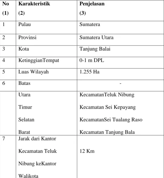 Tabel 1.1 Letak dan Geografi   No  (1)  Karakteristik  (2)  Penjelasan (3)  1  Pulau  Sumatera 