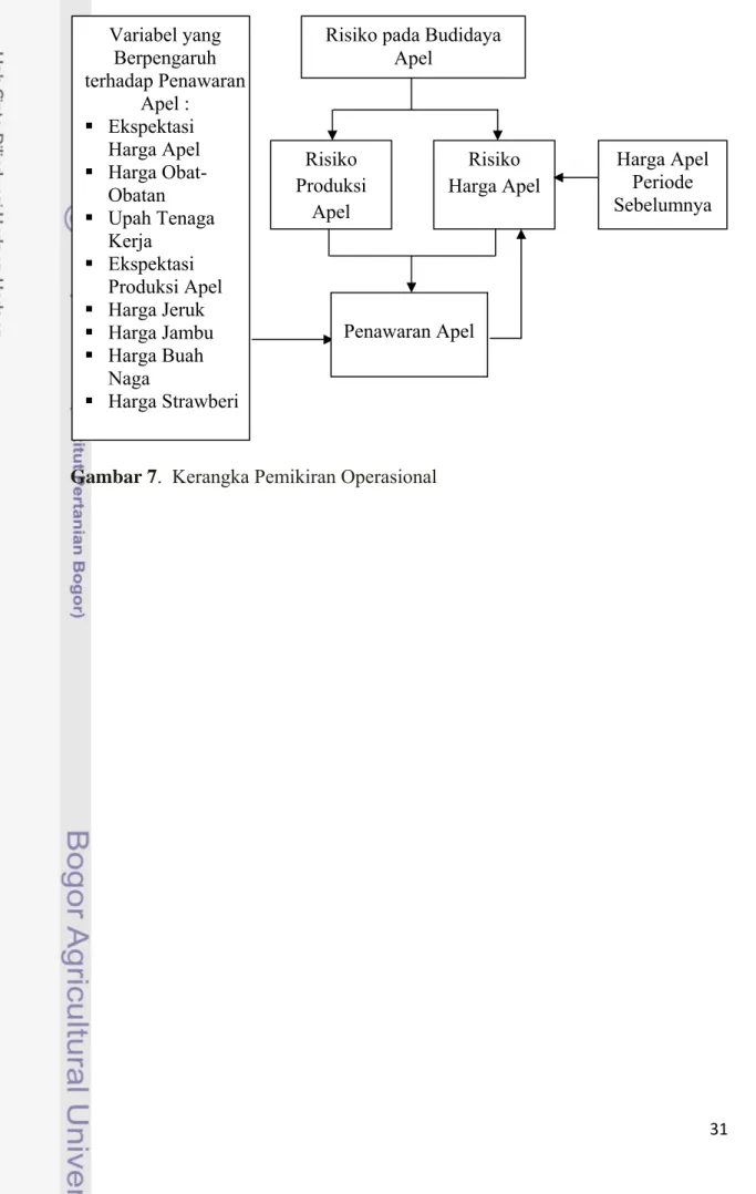 Gambar 7.  Kerangka Pemikiran Operasional  Risiko  Harga Apel Risiko Produksi Apel Variabel yang Berpengaruh terhadap Penawaran Apel :   Ekspektasi Harga Apel   Harga Obat-Obatan   Upah Tenaga Kerja   Ekspektasi Produksi Apel   Harga Jeruk   Harga Jambu   Harga Buah Naga   Harga Strawberi Penawaran Apel Risiko pada Budidaya 