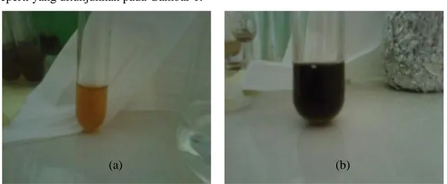Gambar 1. Hasil uji FeCl 3  (a) ekstrak awal (b) ekstrak setelah di uji dengan FeCl 3 