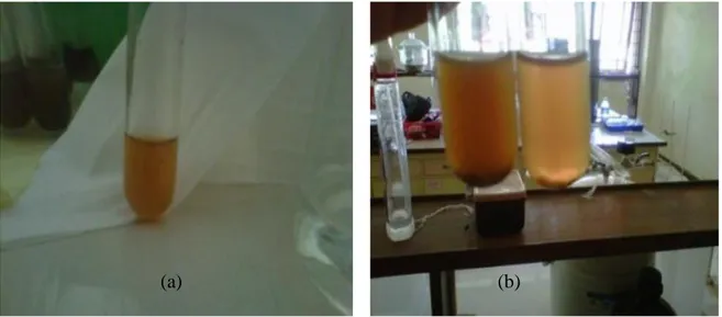 Gambar 2. Hasil uji gelatin (a) ekstrak awal, (b) ekstrak setelah diuji gelatin 