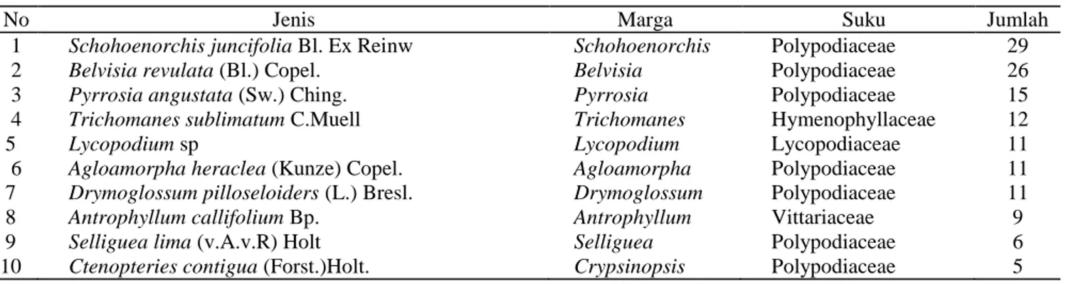 Tabel 4.  Sepuluh  jenis  paku-pakuan  epifit  yang  banyak  dijumpai  di  pangkal  batang  pohon  inang  pada  Hutan  Bekas  Tebangan 