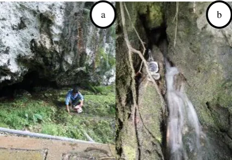 Figure 8. Reef limestone found at surroundings of spring (a). Cracks or holes as dissolved outlet of springs (b)