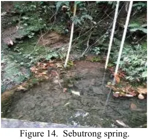 Figure 14.  Sebutrong spring. 