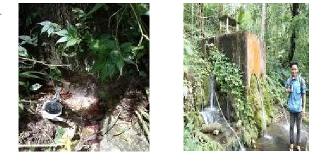 Figure 13.  Karang Wuluh spring. 