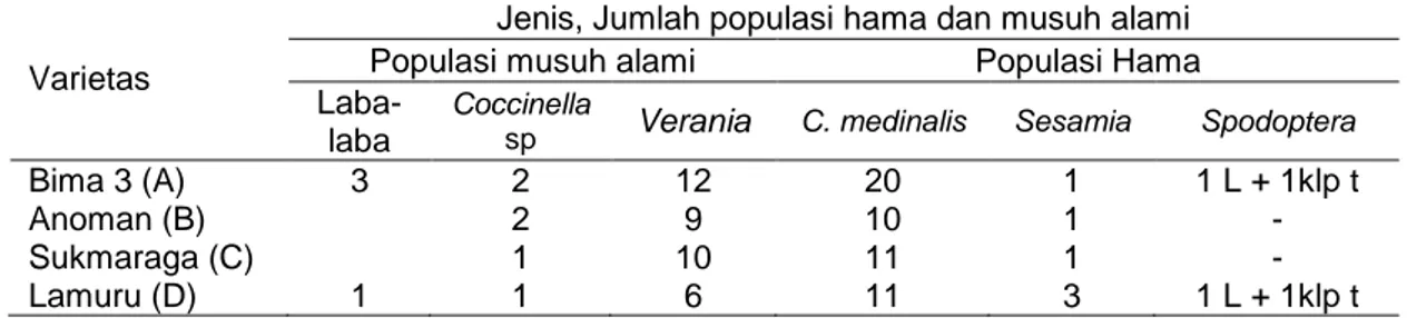 Tabel 2. Rata-rata jenis, jumlah populasi dan musuh alami hama pada 4 mst,                             Kediri 2011