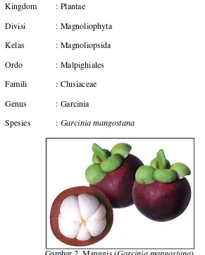 Gambar 2. Manggis (Garcinia mangostana) 