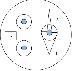 Gambar 6.  Perhitungan Zona Hambat Bakteri; a: Diameter paper disk, b : Diameter daerah yang tidak ditumbuhi bakteri, c : Daerah yang ditumbuhi bakteri, b-a : Diameter zona hambat 