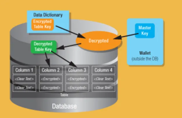 Gambar 1: Mekanisme Transparan Data  Encryption (TDE) 