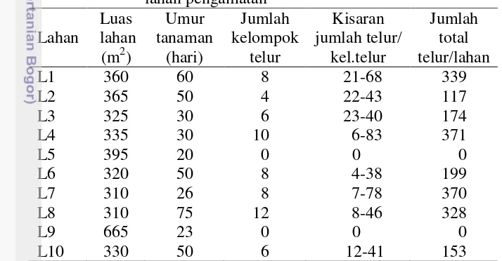 Tabel 1  Keberadaan dan jumlah telur O. furnacalis di setiap 