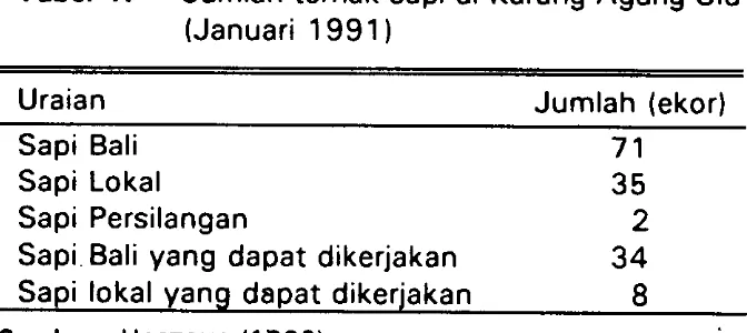 Tabel 1 . Jumlah ternak sapi di Karang Agung Ulu (Januari 1991) Uraian Sumber : HASTONO (1993) Jumlah (ekor)Sapi Bali71Sapi Lokal35Sapi Persilangan2