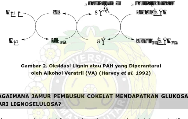 Gambar 2. Oksidasi Lignin atau PAH yang Diperantarai   oleh Alkohol Veratril (VA) (Harvey et al