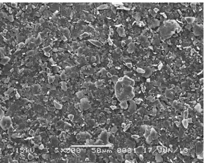 Gambar 5. Fotografi Mikroskopi Permukaan Film Lateks  Karet Alam dengan Pengisi Karbon Kelapa dengan perbesaran 500 x 