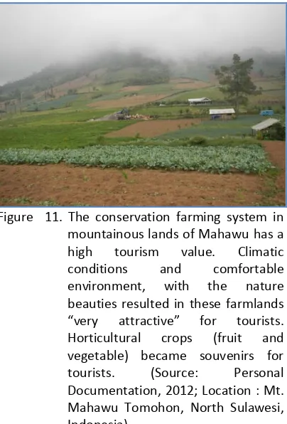 Figure  11. The conservation farming system in 