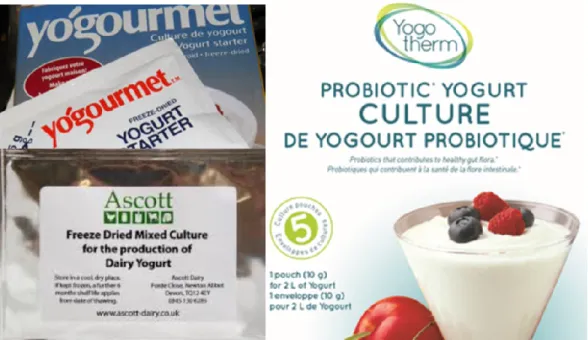 Gambar 2. Beberapa merek bibit yogurt dalam bentuk kering (freezed  dried yogurt starter) yang tersedia di pasaran 