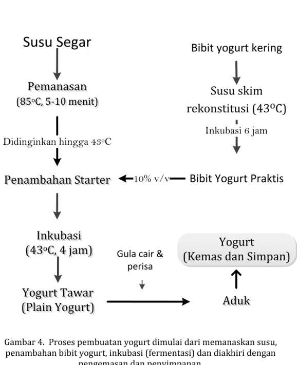 Gambar 4.  Proses pembuatan yogurt dimulai dari memanaskan susu,  penambahan bibit yogurt, inkubasi (fermentasi) dan diakhiri dengan 