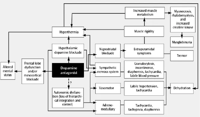 Gambar 2. Bagan patofisiologi sindroma neuroleptik maligna 13