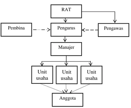 Gambar 1. Struktur internal koperasi secara umum  Keterangan    :    =  garis komando 