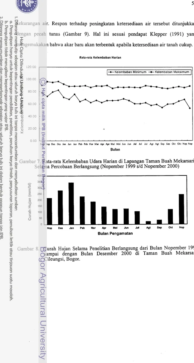 Gambar 7. Rata-rata Kelembaban Udara Harian di Lapangan Taman Buah Mekarsari  Selama Percobaan Berlangsung (Nopember 1999 s/d Nopember 2000) 