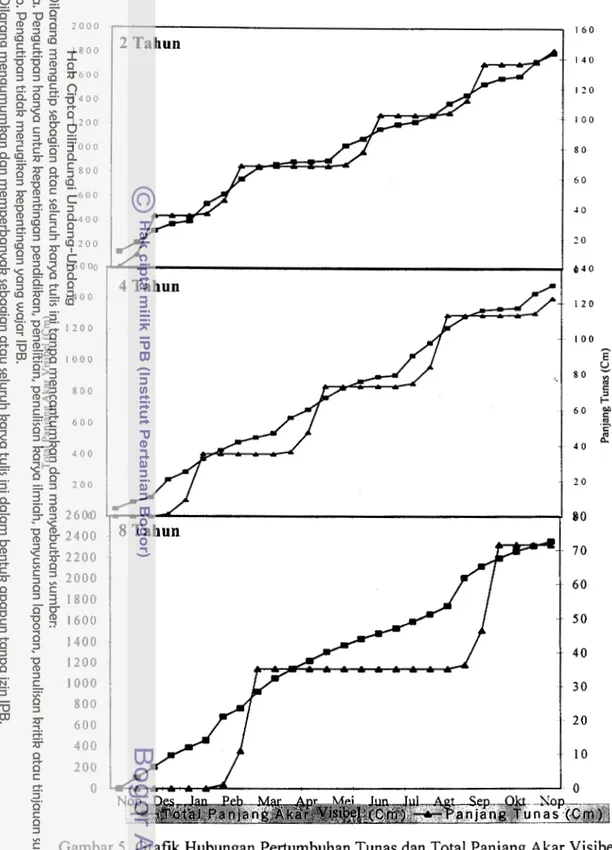 Gambar  5.  Grafik Hubungan Pertumbuhan Tunas dan Total Panjang Akar Visibel  Tanaman manggis Seedling Umur  2,4,  dan  8  Tahun