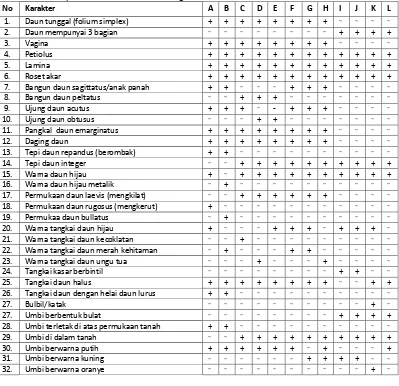 Tabel 1. Karakter spesies berdasarkan morfologi daun dan warna umbi: 