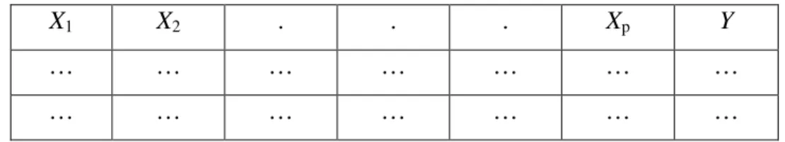 Tabel 2.1 Tabel Format Data untuk Analisis Diskriminan 