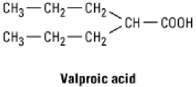Gambar 5. Rantai karbon asam valproat 7