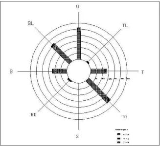 Gambar 2.3 Diagram Mawar Angin 