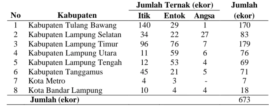Tabel  2  Distribusi  jumlah sampel pada tiap kabupaten/kota  di Propinsi Lampung 