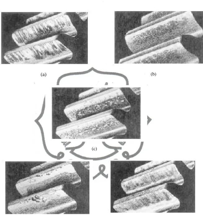 Gambar 2.3 Cacat permukaan roda gigi (a). Wear, (b). Plastic flow, (c) Pitting, (d). Spalling, (e)