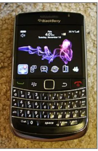 Gambar 1: Blackberry Onyx 