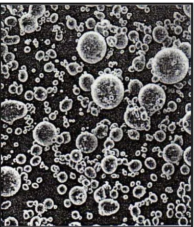 Gambar 2. Partikel alloy amalgam spherical (500x) 10 