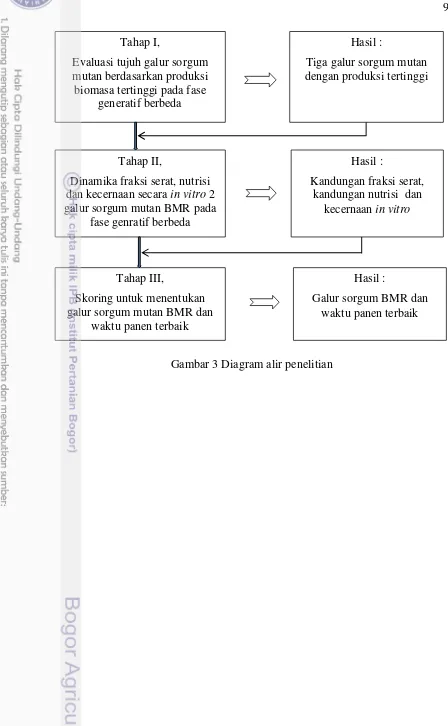 Gambar 3 Diagram alir penelitian 