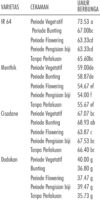 Tabel 4 menunjukkan bahwa varietas, fase