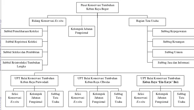 Gambar 3. Struktur Organisasi PKT Kebun Raya Bogor-LIPI (PKT Kebun Raya Bogor-LIPI, 2012)