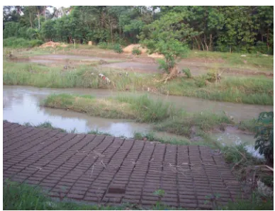 Gambar 1.1 : Tumpukan Sampah pada Kali Babon 