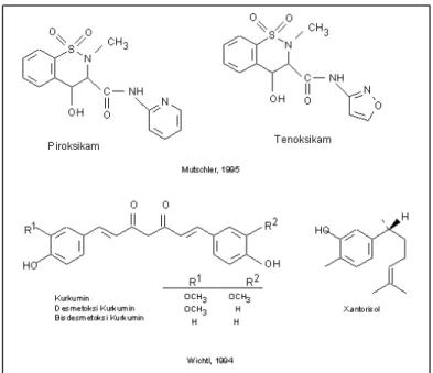 Gambar 1. Struktur kimia piroksikam, tenoksikam, kurkuminoid dan  xantorisol 