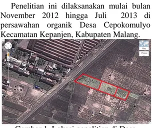 Gambar 1. Lokasi penelitian di Desa  Cepokomulyo (kotak merah) 