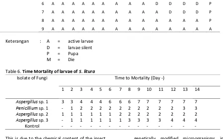 Table 6. Time Mortality of larvae of S. litura  