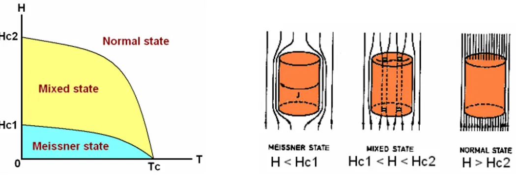 Gambar 1. Superkonduktor tipe-II. (a) Kurva medan kritis terhadap temperatur.  