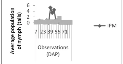 Figure 1. Population nymph fluctuation ofIPM and conventional farming in Bayem Village, Sub-District Kasembon